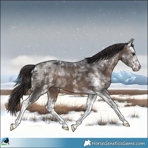 Horse Color:Brown Ice Dun Mushroom Sabino Appaloosa 