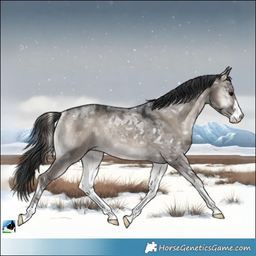 Horse Color:Grullo Ice Onyx Mushroom Sabino Rabicano 