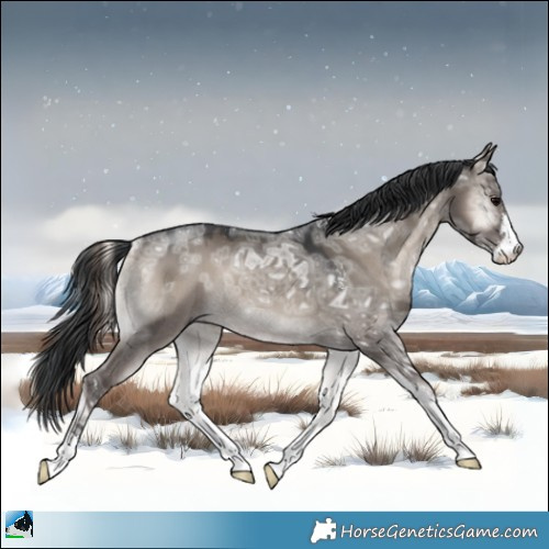 Horse Color:Grullo Ice Onyx Mushroom Sabino Rabicano