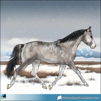 Horse Color:Grullo Ice Onyx Mushroom Sabino Rabicano