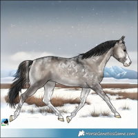 Horse Color:Grullo Ice Onyx Mushroom Sabino Rabicano 