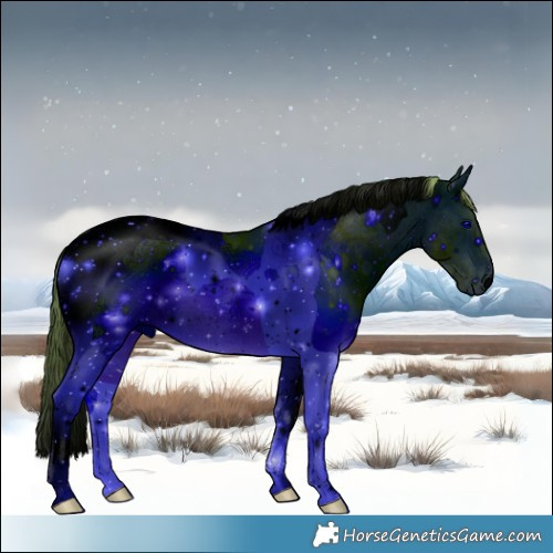 Horse Color:ERROR: UNKNOWN ANOMALY