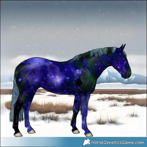 Horse Color:ERROR: UNKNOWN ANOMALY