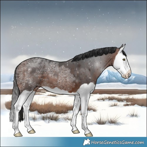 Horse Color:Bay Ice Splash 