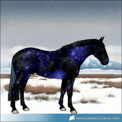 Horse Color:ERROR: UNKNOWN ANOMALY