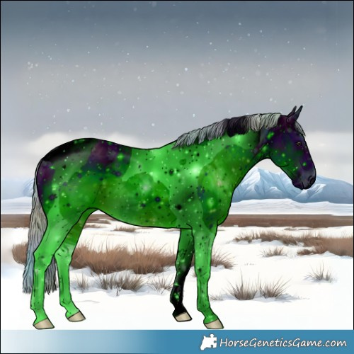 Horse Color:ERROR: UNKNOWN ANOMALY