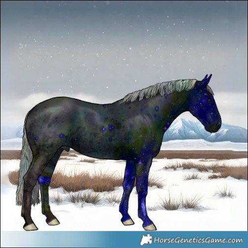 Horse Color:ERROR: UNKNOWN ANOMALY