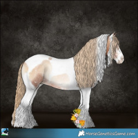 Horse Color:Red Onyx Pearl Sabino Tobiano Rabicano