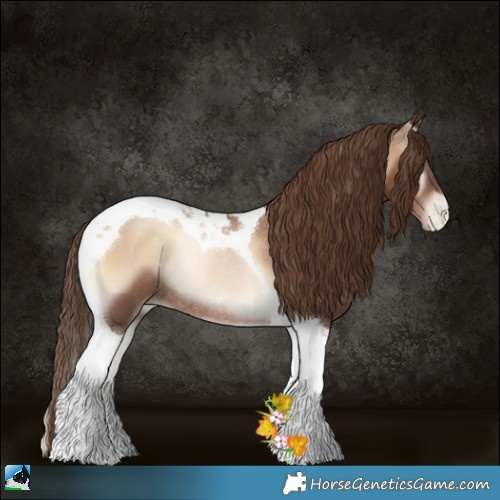 Horse Color:Liver Red Onyx Pearl Tobiano Rabicano 