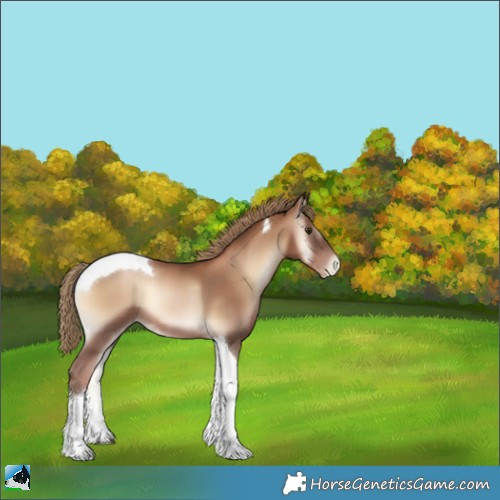Horse Color:Liver Red Onyx Pearl Sabino Tobiano 