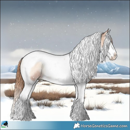 Horse Color:Gold Champagne Pearl Onyx Splash Tobiano Rabicano 