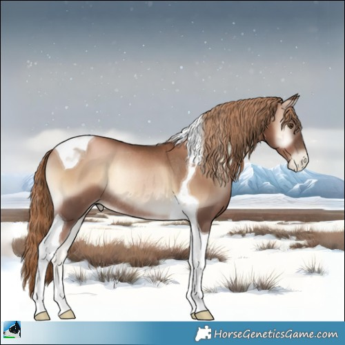 Horse Color:Liver Red Onyx Pearl Tobiano Rabicano 