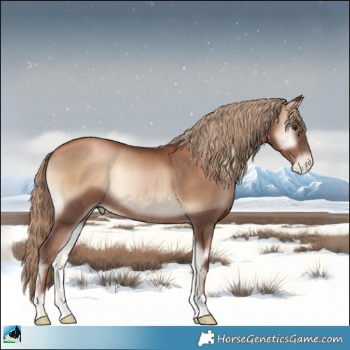 Horse Color:Liver Red Onyx Pearl Rabicano 