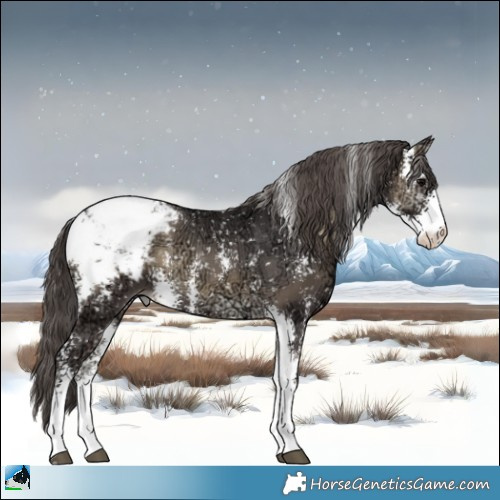Horse Color:Smoky Blue Onyx Ice Sabino Appaloosa 