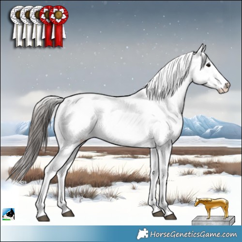 Horse Color:Black Ice Sabino Appaloosa 