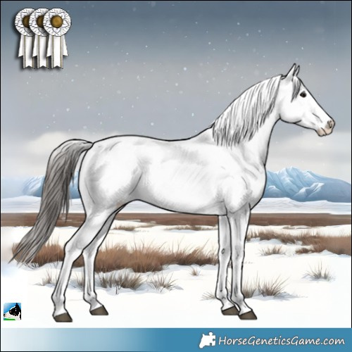 Horse Color:Black Ice Sabino Appaloosa 