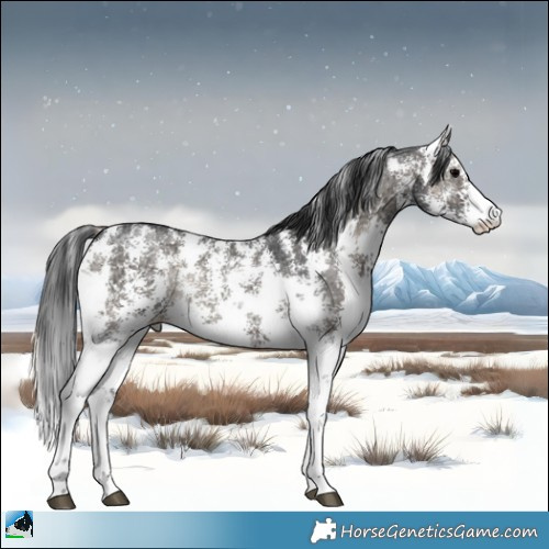 Horse Color:Blue Onyx Ice Sabino 