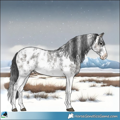 Horse Color:Blue Onyx Ice Sabino Appaloosa 