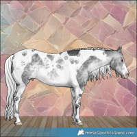 Horse Color:Silver Brown Chinchilla Tobiano