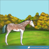 Horse Color:Painted Bay Ice Splash