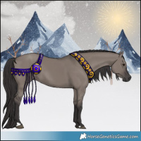 Horse Color:Smoky Grullo 