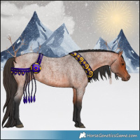 Horse Color:Bay Roan 