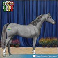 Horse Color:Black Varnish 