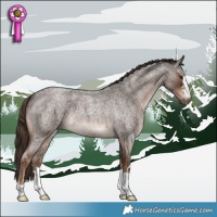 Horse Color:Liver Red Roan 