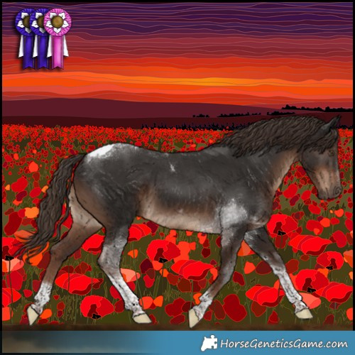 Horse Color:Liver Chestnut Tobiano 