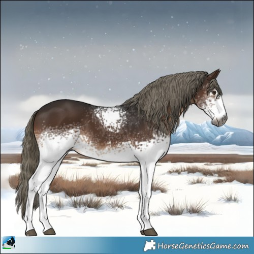 Horse Color:Gray White Spotted Liver Chestnut Mushroom Rabicano 