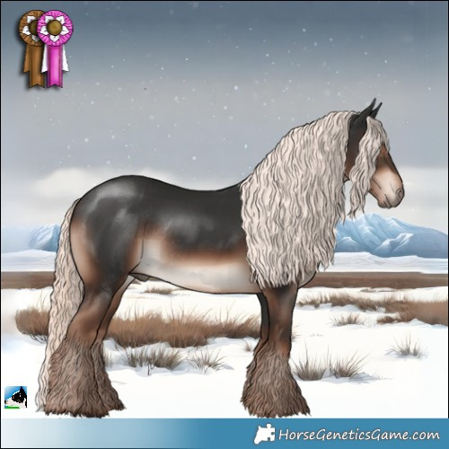 Horse Color:Liver Chestnut Mushroom Rabicano 