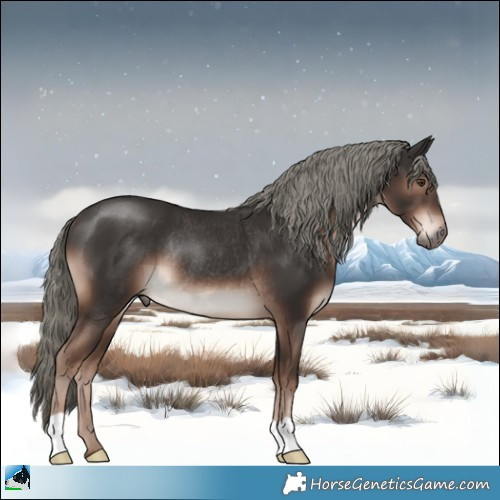 Horse Color:Liver Chestnut Mushroom Rabicano 