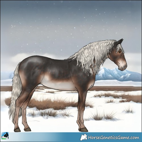 Horse Color:Liver Chestnut Mushroom Rabicano 