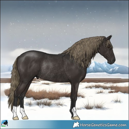 Horse Color:Gray Liver Chestnut Mushroom Rabicano 