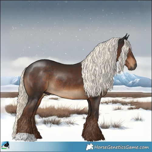 Horse Color:Gray Liver Chestnut Mushroom Rabicano 