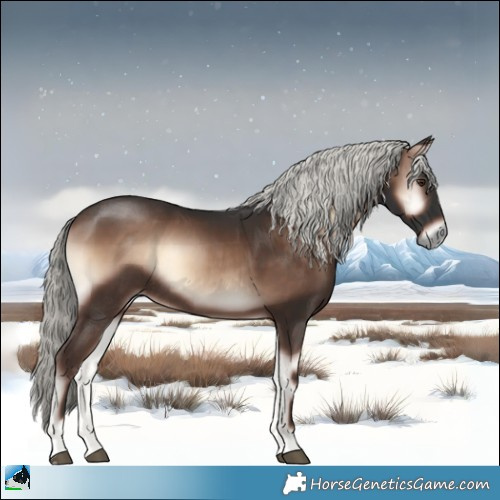 Horse Color:Liver Red Onyx Mushroom Rabicano 