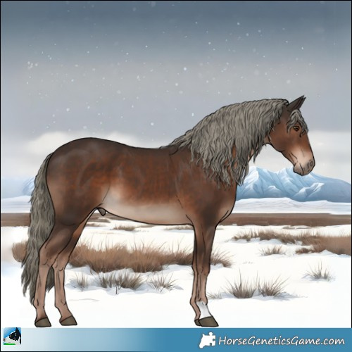 Horse Color:Liver Chestnut Mushroom 
