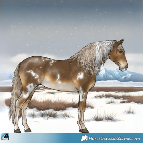 Horse Color:White Spotted Chocolate Palomino Mushroom 