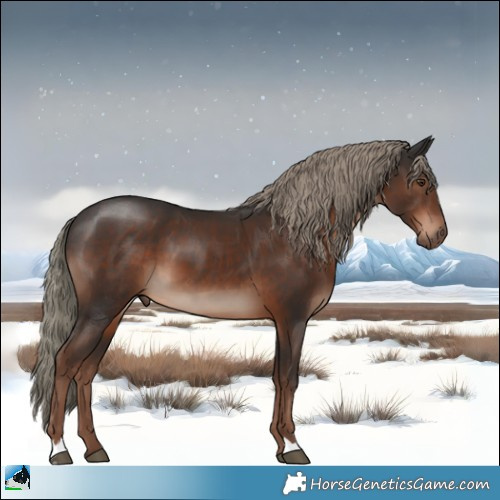 Horse Color:Liver Chestnut Mushroom 