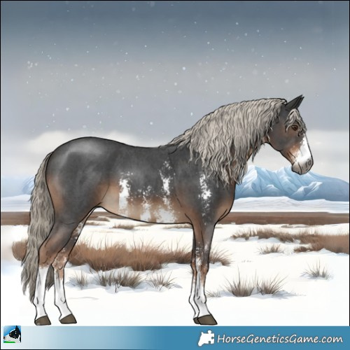 Horse Color:Gray Liver Chestnut Mushroom Sabino 