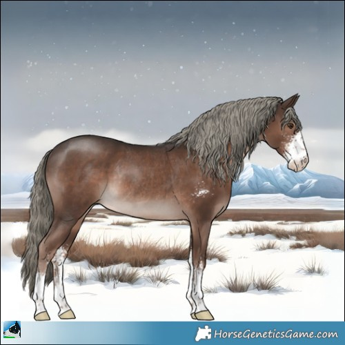 Horse Color:Liver Chestnut Mushroom Sabino Rabicano 