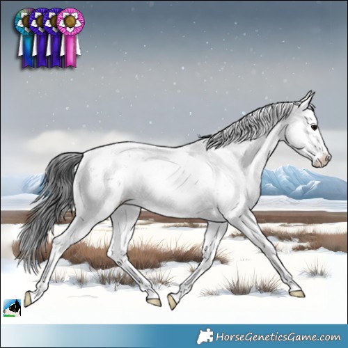 Horse Color:Black Sabino Splash 