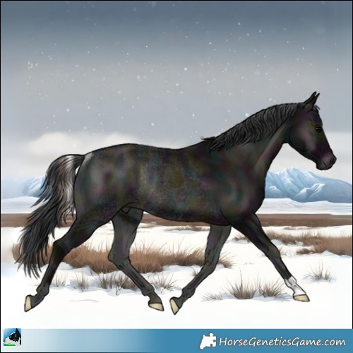 Horse Color:Midnight Blue Onyx Ice Mushroom Rabicano 