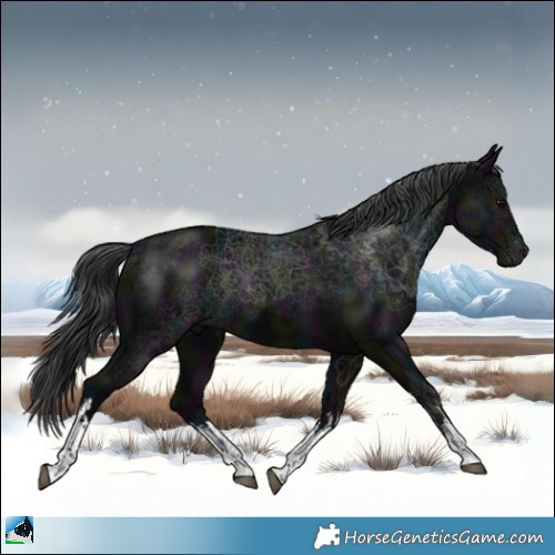 Horse Color:White Spotted Midnight Black Mushroom 