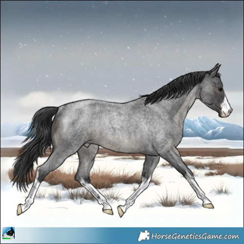Horse Color:White Spotted Blue Roan Mushroom Rabicano 