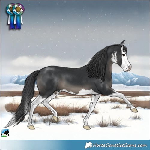 Horse Color:White Spotted Black Mushroom Splash 