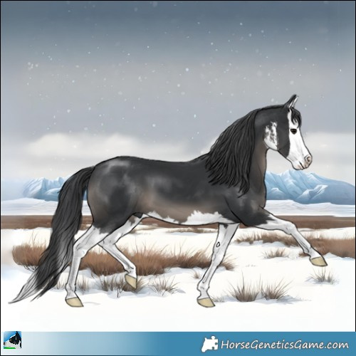 Horse Color:White Spotted Black Mushroom Splash 