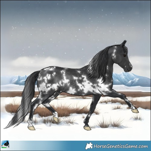 Horse Color:White Spotted Black Mushroom Rabicano 