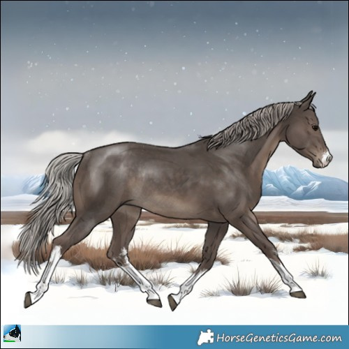 Horse Color:White Spotted Silver Black Rabicano 