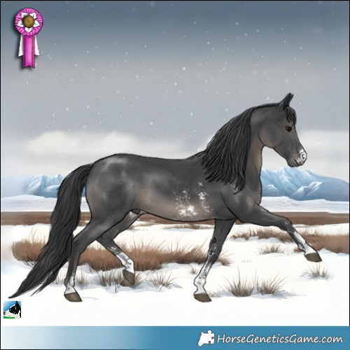 Horse Color:Black Sabino 